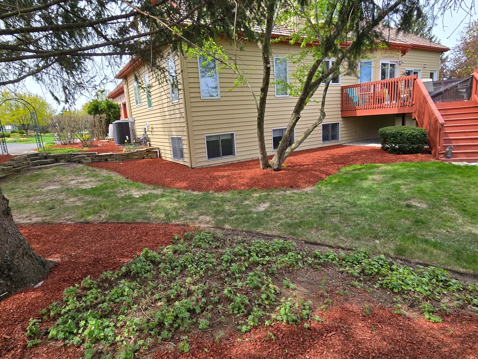 Front foundation planting redesign