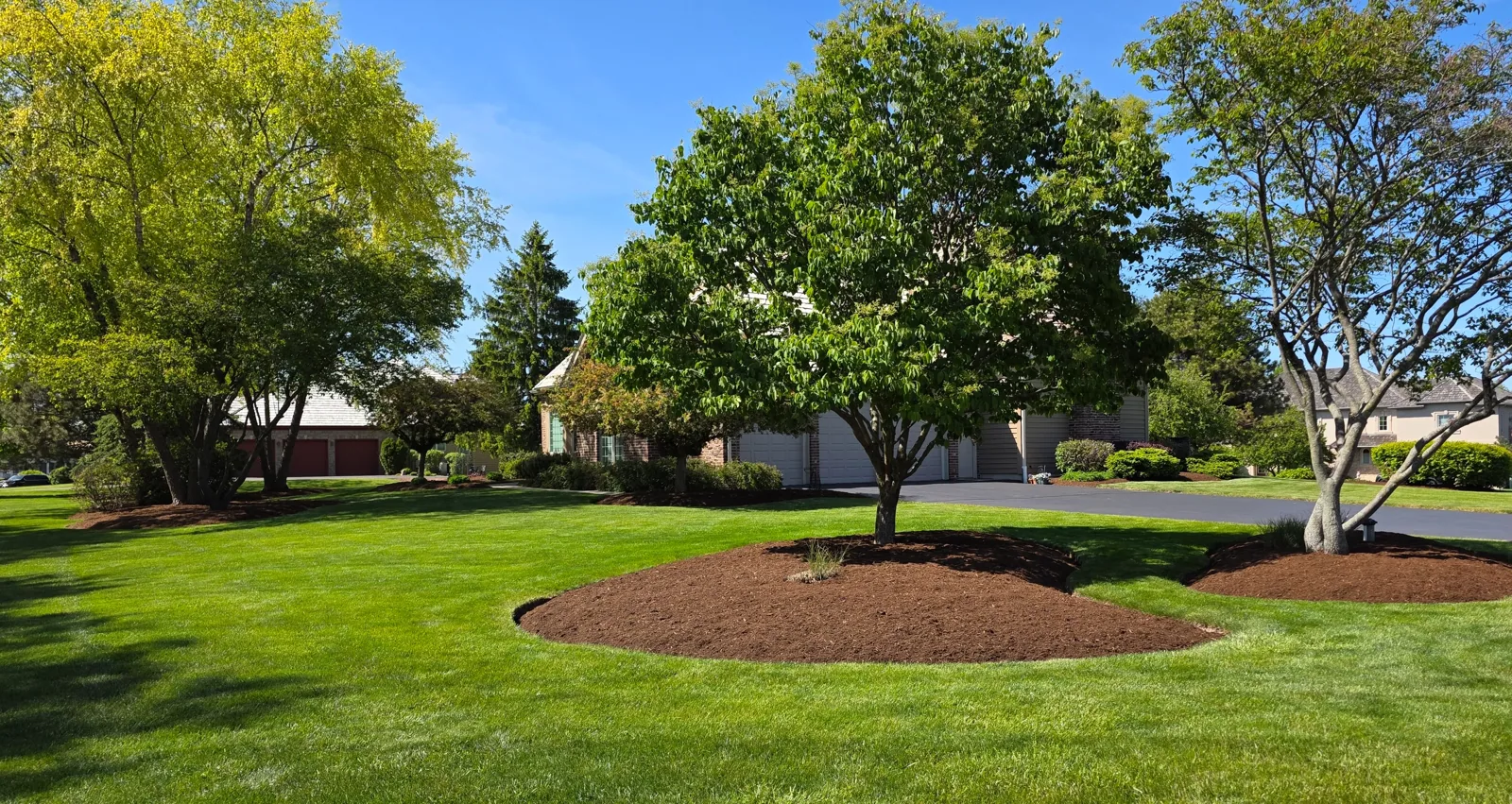 Perennial beds and edging
