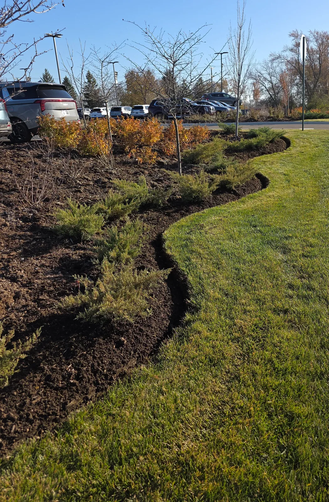 Ornamental trees and boulders