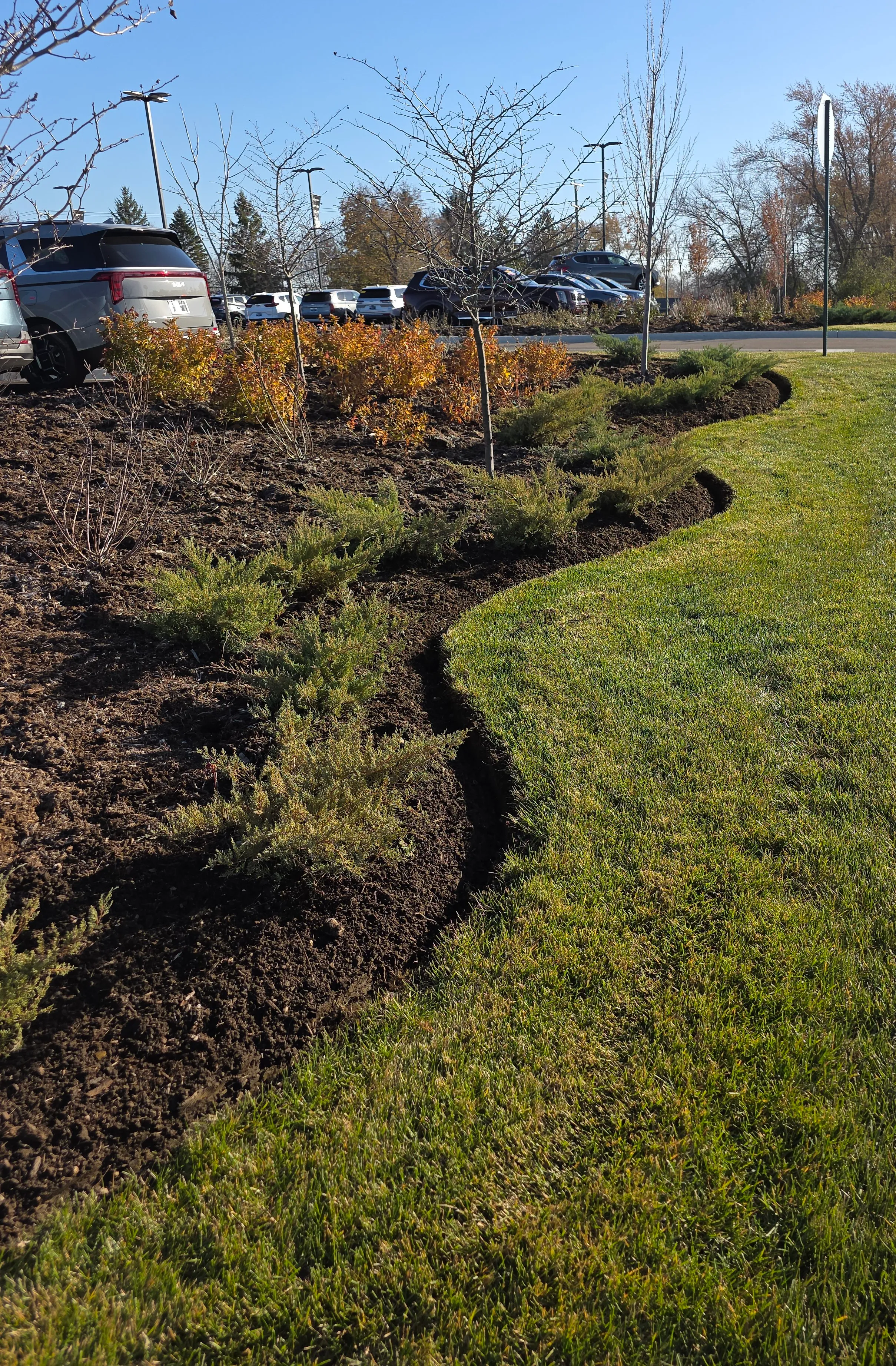 Garden makeover in Lake County, IL